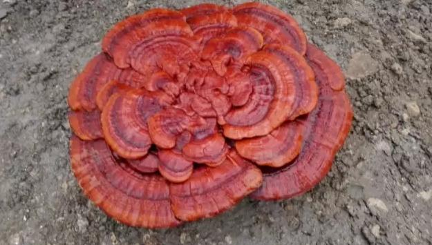 圖片關鍵詞 圖片關鍵詞