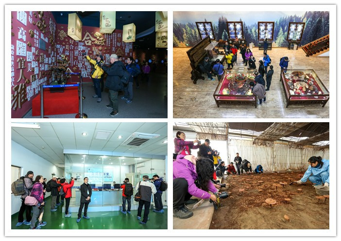 圖片關鍵詞 圖片關鍵詞