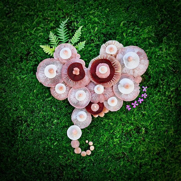 圖片關鍵詞 http://img1.jiemian.com/jiemian/original/20171123/151141535945904800_a580xH.jpg