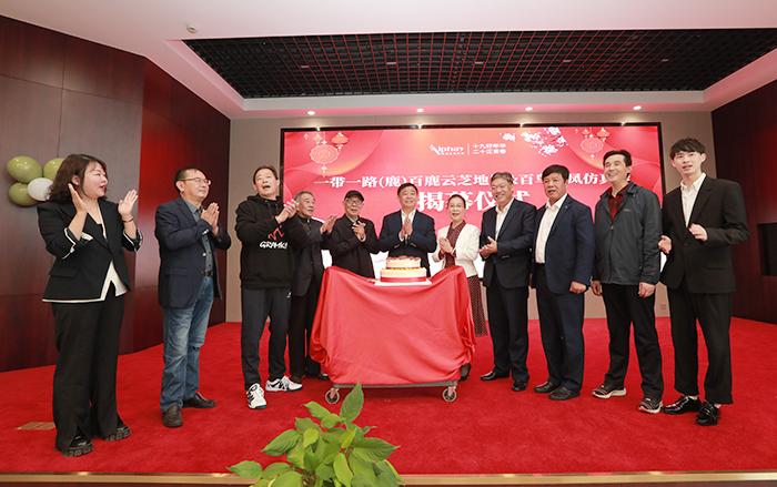 圖片關鍵詞 圖片關鍵詞