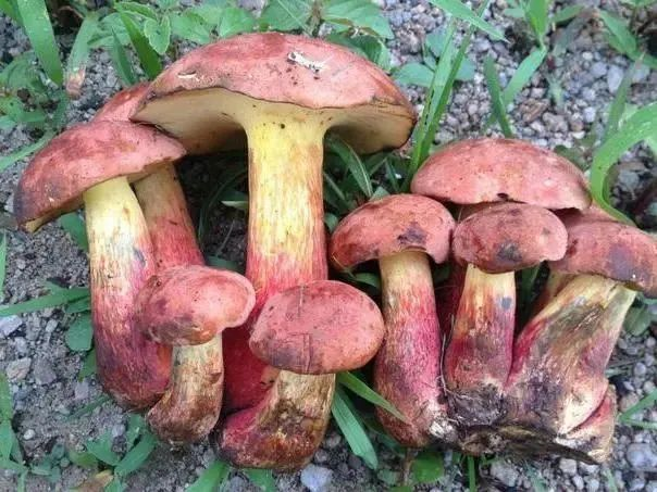 圖片關(guān)鍵詞 圖片關(guān)鍵詞