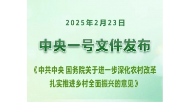 行業(yè)動態(tài)