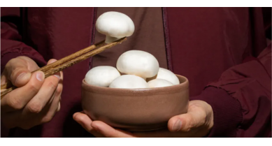 行業(yè)動(dòng)態(tài)